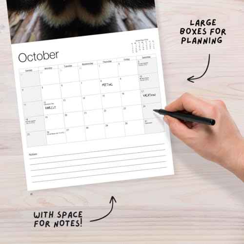 Animal Selfies 2026 Calendar - Large 12 Month 2026 Wall Calendar - Month to View Funny Wall Planner Made by Our World