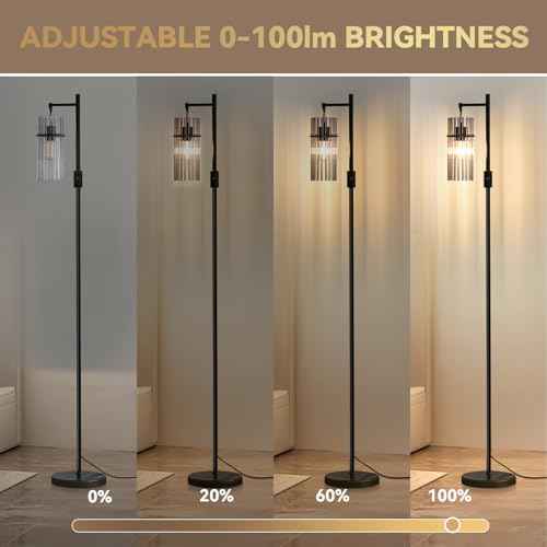 Industrial Floor Lamps for Living Room, Dimmable Floor Lamp Modern Standing Lamps with Glass Lampshade, Rotary Switch, LED Bulbs, Tall Lamps for Bedroom, Office (1 Lampshade(66inch))