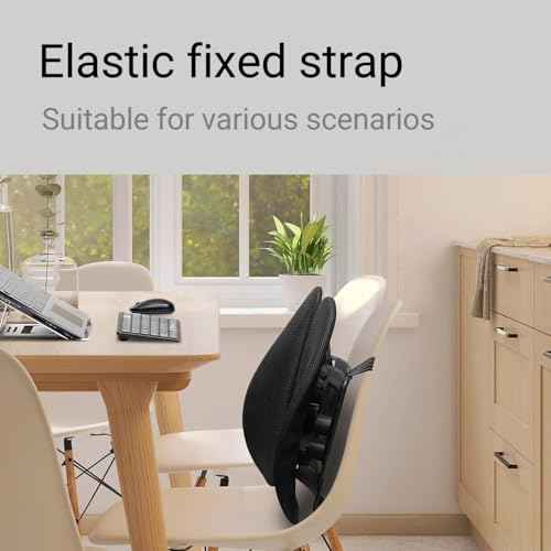 Ergonomic Lumbar Support with Breathable Mesh, Lower Back Pain Relief Upgraded Version