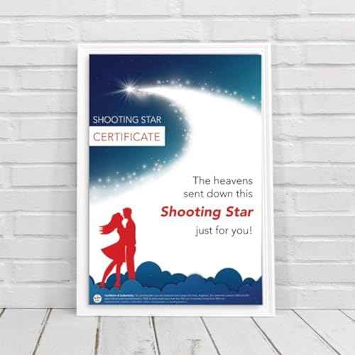 happylandgifts¢ç Romantic Gift Set | Shooting Star | Unusual Gift | Real Meteorite in Red Heart Box | Tea Light | Rose Petals | Certificate Roll | Meteor Gifts
