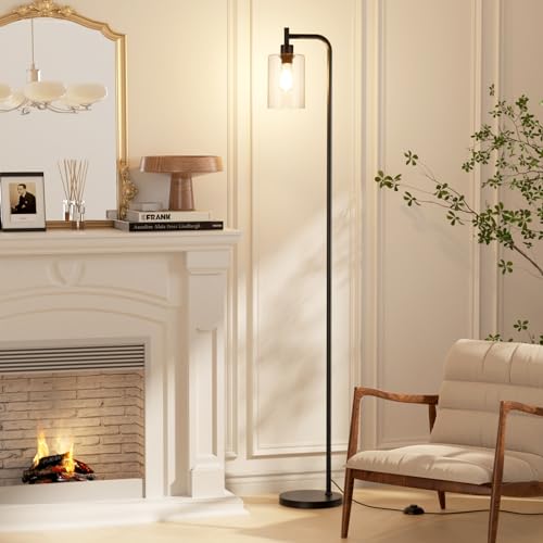 Ziisee Black & Clear Glass Shade Industrial Floor Lamp with LED Bulbs & Foot Pedal Switch