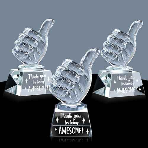 3 Pcs Employee Appreciation Gifts Crystal Awards with Thumbs up Business Gifts Thank You for Being Awesome Trophies for Coworkers Employee Teacher Women Men Office Colleague Christams