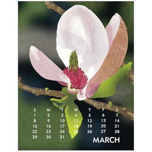 Linnea Design 2026 Desktop Calendar and Frame Set 5 x 7" Artwork by Johanna Riley