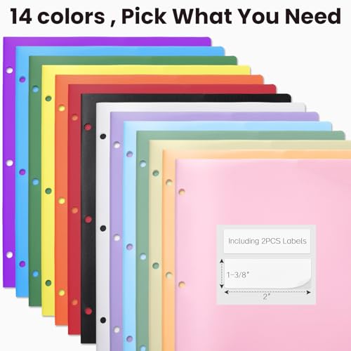 Pink 2-Pocket Plastic Folder with 3-Hole Punch, Sturdy Document Organizer