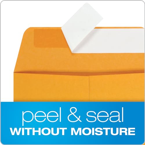 Columbian Small 6x9 Catalog Envelopes Self Seal Brown Kraft Pack of 30