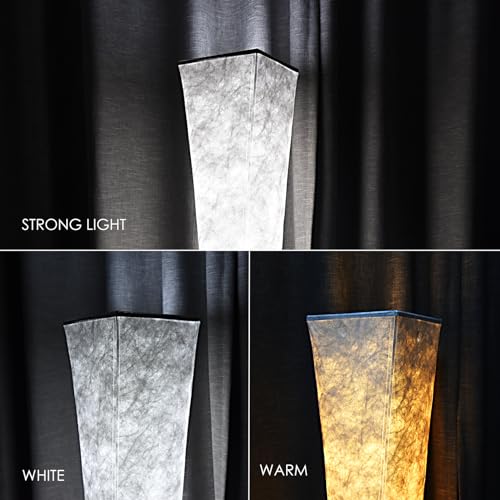 Floor Lamp, RGB Color Changing Led Smart Lamp, Music Sync, APP Remote Control, 62'' Standing Lamp for Living Room Bedroom Game Room