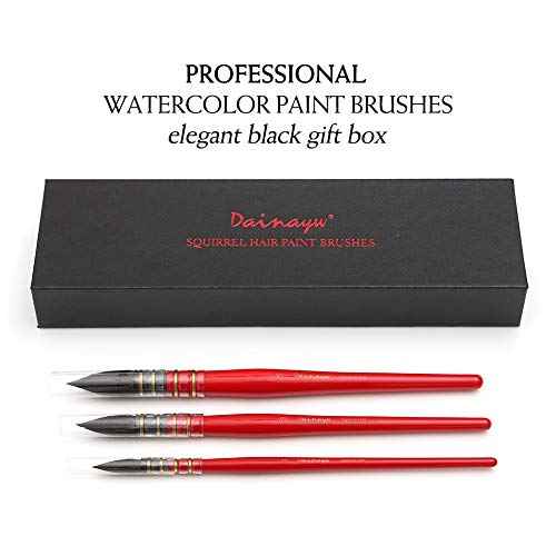 Dainayw Professional Watercolor Paint Brushes, Mop Round Squirrel Hair Paint Brush Set for Art Painting, Gouache, Artist Quality Supplies Red Handle (3 Brushes)