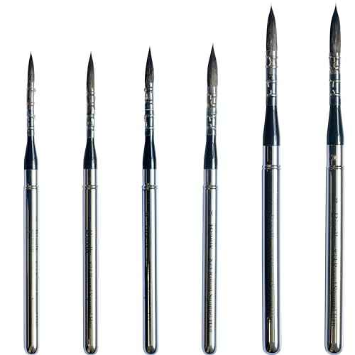 Watercolor Professional Paint Brushes Biaelk 873Round 6PCS Synthetic Squirrel Mixed Hair Watercolor Travel Pocket Brushes Set for Miniature for Art Supplies Face Detail Painting