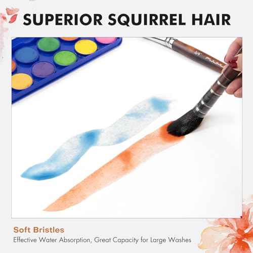Watercolor Brushes Professional, Fuumuui 9pcs Sable Paint Brushes & Natural Squirrel Mop Brush Set with Extended Needle, Round Point, Flat, Dagger, Quill Wash for Watercolor Gouache Inks