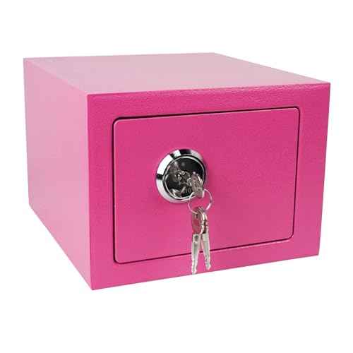 Luwint Small Steel Safe Lock Box with Key, General Home Use, 9.5 x 9 x 6.5 in (Pink)