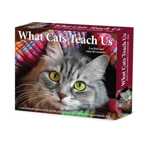 Willow Creek Press, What Cats Teach Us 2026 Desk Calendar, 6.18'' X 5.43'', Daily Calendar with Adhesive Binding