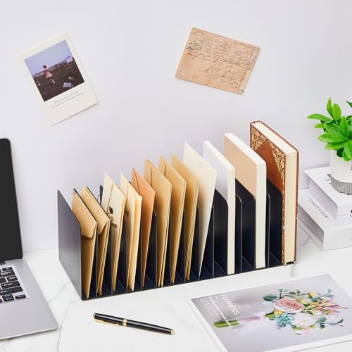 Suzile 15-Compartment Metal Desktop File Organizer Black 16" Vertical Sorter
