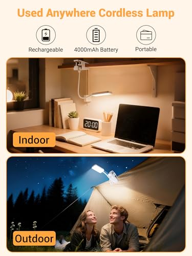ReinHoo Rechargeable Clip-On Desk Light with 45 Lighting Modes - White