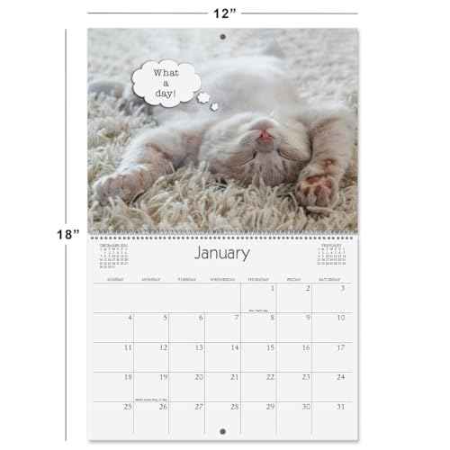 Current 2026 Cattitudes Cat Wall Calendar, 12-Inch x 9-Inch Size Closed, 18-Inch Size Open, Large Bookstore-Quality, Spiral-Bound Hanging Monthly Wall Calendars for Kitchen & Office