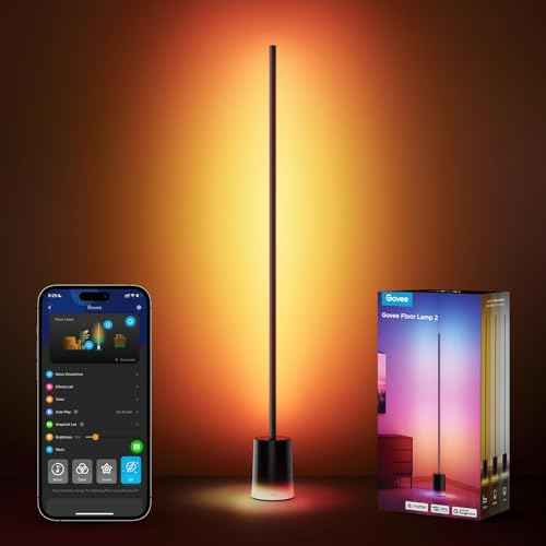 Govee Floor Lamp 2 with Matter, RGBIC, Warm Cool White LED, Alexa Compatible, 1725lm, Music Sync, Scene Modes, Smart Floor Lamp for Living Room, Bedroom, Black(1 Pack)