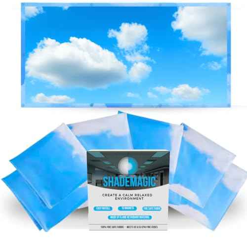 ShadeMAGIC Fluorescent Light Covers for Classroom Office - Light Filter Pack of (4); Eliminate Harsh Glare That Causing Eyestrain and Head Strain. Office & Classroom Decorations. Light Diffusers (4)