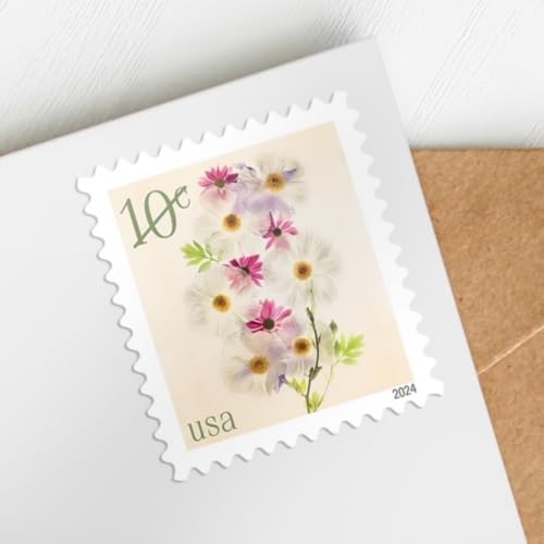US Postal Service Poppies and Coneflowers 2024 10-Cent Definitive Postage Stamps - 20 Sheets