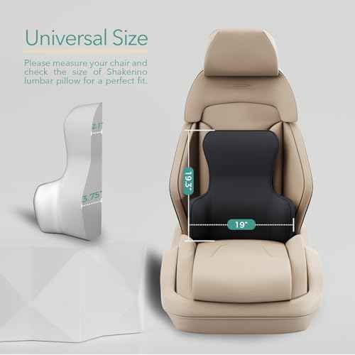 Lumbar Support Pillow for Office Chair ? Back Support for Office Chair with All-Season Memory Foam & Anti-Slip Silicone Base, Lower Back Relief