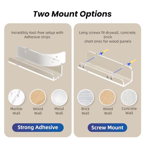 ELETIUO Clear Wall-Mounted Digital & Body Fat Scale Holder, Space-Saving Bathroom & Gym Organizer