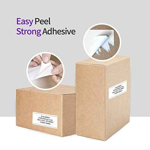 AveneMark 12 Rolls Compatible DYMO 30256 (2-5/16" x 4") Direct Thermal Labels - 3600 Labels