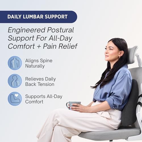Lumbar Support Pillow for Office Chair - Lower Back Pain Relief Cushion with Adjustable SpineAlign¢â Bolster, Memory Foam Pillow for Car, Couch, Gaming Seats - Dual Straps, Dark Grey
