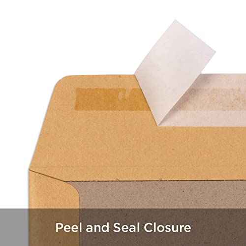 Blake Purely Packaging, Paperboard Rigid Back Mailer For Photos & Certificates, 9 x 12 3/4 Inches, Brown Manila Kraft Envelopes, Peel & Seal (13935-76) - Pack of 125