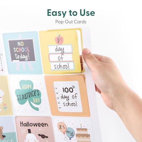 The Peanutshell Learning Calendar Wall Chart for Classroom & Homeschool Kids