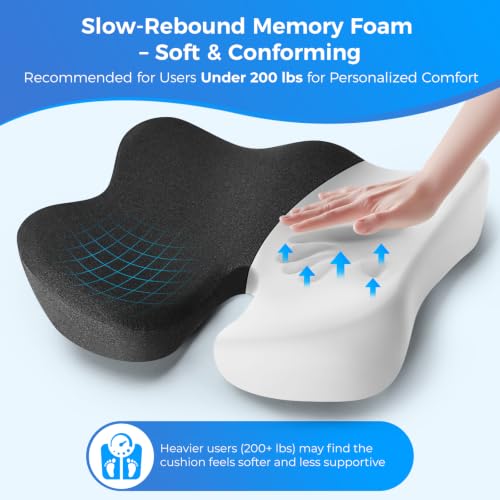 Dreamer Car Gray Tailbone & Sciatica Pain Relief Seat Cushion for Car & Office