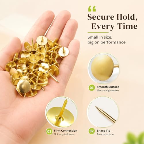 DZKZO Gold Thumb Tacks 480-Piece Set, Flat Push Pins for Bulletin Boards & Wall Displays