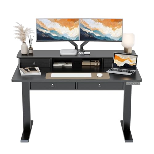 ErGear Electric Standing Desk with 4 Drawers, 48" x 30" Height Adjustable Desk with Storage, C-Clamp Mount Compatible, Computer Home Office Table with Cable Management Tray, Black