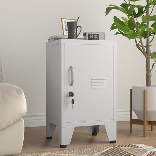 White 24.4-Inch Metal Locker Storage Cabinet with 1 Door & Adjustable Shelf