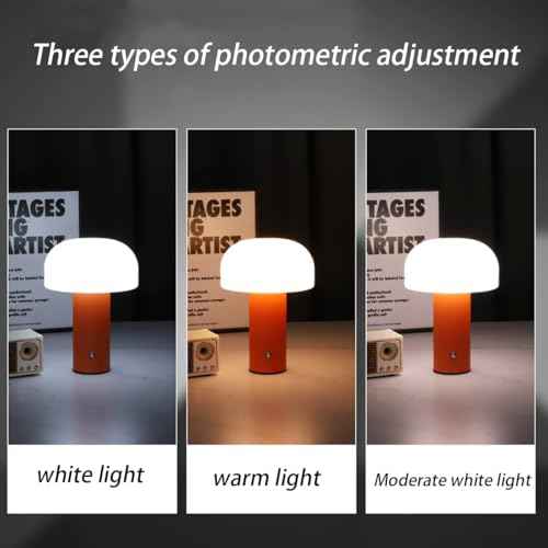 Dimmable USB Charging Mushroom Lamp, Touch Light, Desktop Bedside, Eye Protection, Office Study Desk Lamp (Orange Mushroom lamp)
