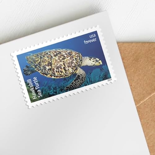 Protect Sea Turtles 2024 (Sheet of 18) First-Class Mail Forever Postage Stamps