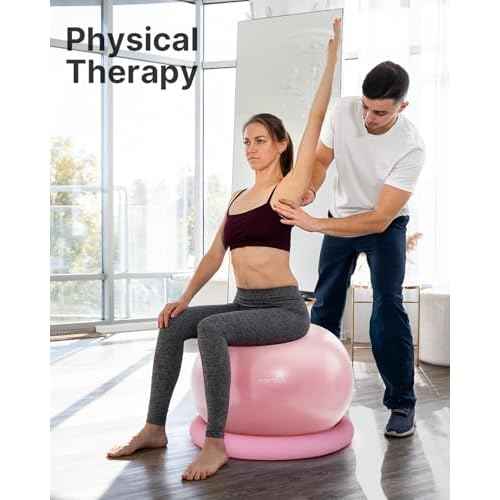 YOTTOY Exercise Ball Chair with Base,Yoga Ball Chair for Home Office Desk, Stability Ball & Fitness Ball Seat with Pump (Pink, 23-26ines(58-65cm))