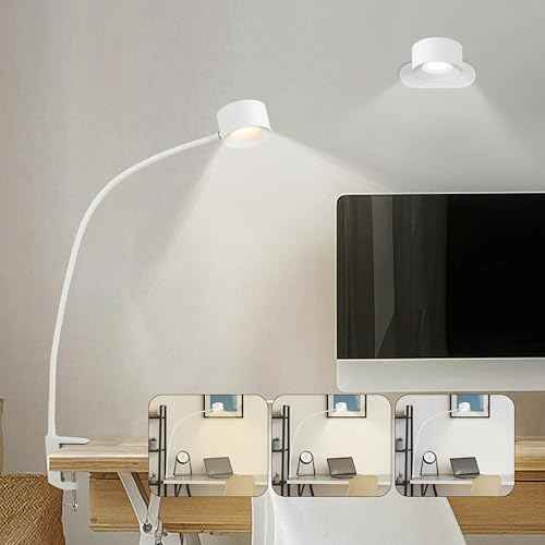 Portable and Rechargeable LED Desk Lamp,Versatile Lighting Solution for Office, Study, and Outdoor Activities£¬White