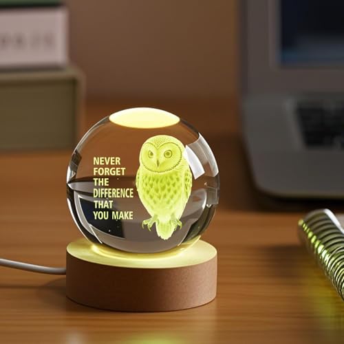 YouerCrystal Owl Gift with Inspirational Quote – 3D Engraved Night Light for Women Men, Thank You Gift