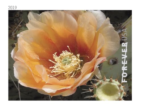 USPS Forever First Class Postage Stamps - Cactus Flower Collection, 20 Booklets (100 Stamps)