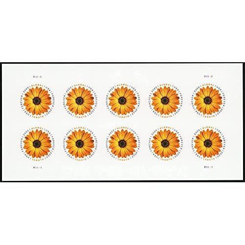 USPS African Daisy 2022 (Sheet of 10) International Mail Global Postage Forever Stamps Scott #5680