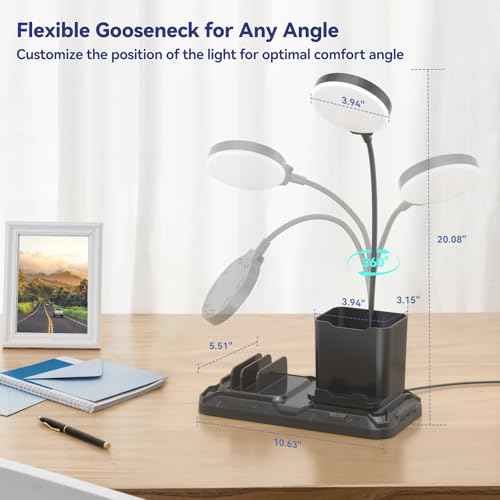 KDD Desk Lamp with USB A&C Charger Ports - Reading Desktop Light with Pen & Phone Holder - Adjustable Brightness Lights with Device Slots - 360¡ÆGooseneck Table Lamp for Home Office College Dorm Room