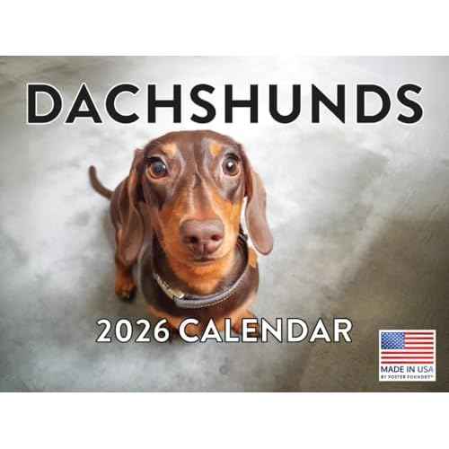 Dachshund Calendar 2026 Monthly Wall Calender 12 Month | American Made In The USA