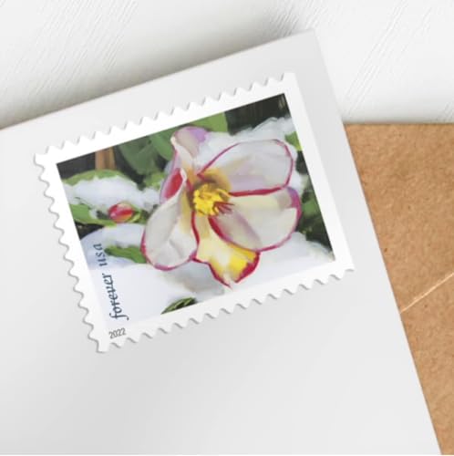 United States Postal Service Snowy Beauty 2022 Forever Postage Stamps - Winter Flowers Collection