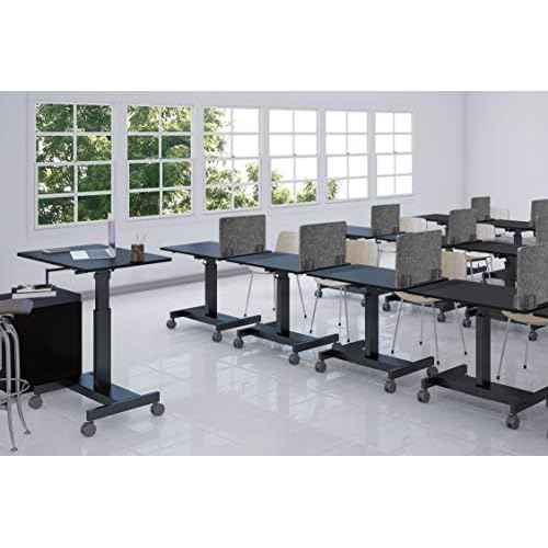 Stand Up Desk Store ReFocus Raw Noise and Distraction Reducing Freestanding Acoustic Desk Divider Mounted Privacy Panel (Anthracite Gray, 20.9" x 16")