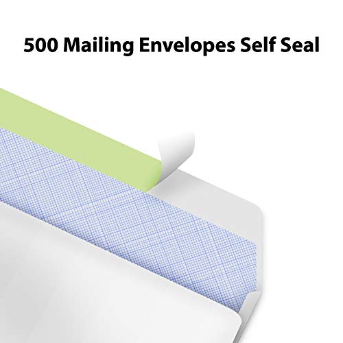 Splendoress 500 Count Self Seal Business Envelopes Letter Size 4-1/8 x 9-1/2 Inches