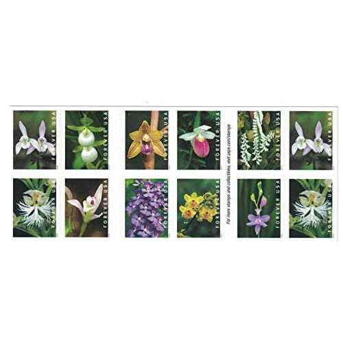 Wild Orchids Flowers (Booklet of 20) First-Class Mail Forever Postage Stamps 2020 Scott 5445-5454