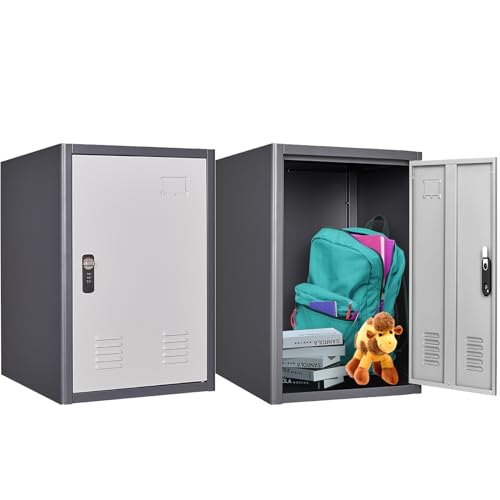 20" H Metal Locker Storage Cabinet, Lockable Cabinet, Small Lockerfor Employees, Lockable 1 Door with 2 Hooks Organizer for Bedroom, School, Office, Playroom, Daycare, Garage