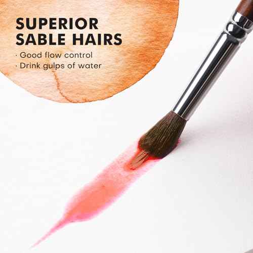 Watercolor Brushes Professional, Fuumuui 9pcs Sable Paint Brushes & Natural Squirrel Mop Brush Set with Extended Needle, Round Point, Flat, Dagger, Quill Wash for Watercolor Gouache Inks