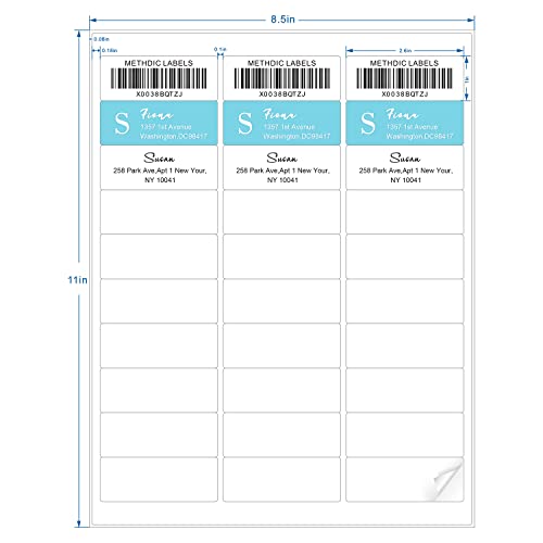 Methdic Rectangular Address Labels 1
