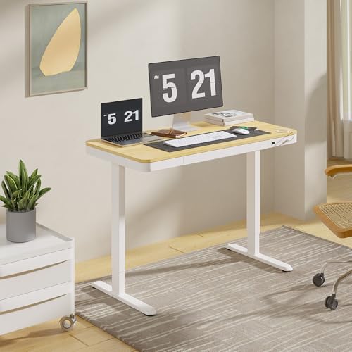 FLEXISPOT Comhar 48-Inch Maple Wood Electric Standing Desk with Drawers, White Frame