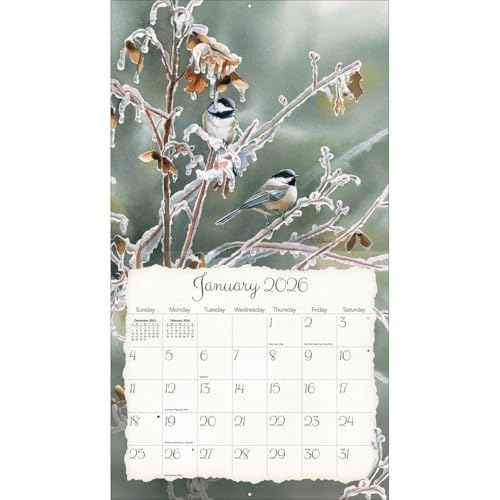 Lang Companies, Songbirds 2026 Wall Calendar by Susan Bourdet, 13.4'' X 12'', 12-Month Calendar with Stapled Binding