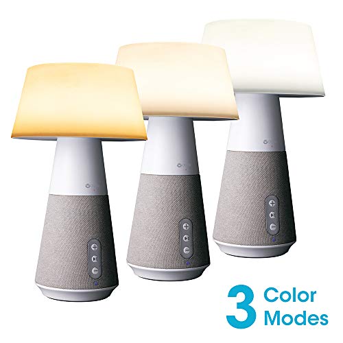OttLite Entertain LED Speaker Lamp